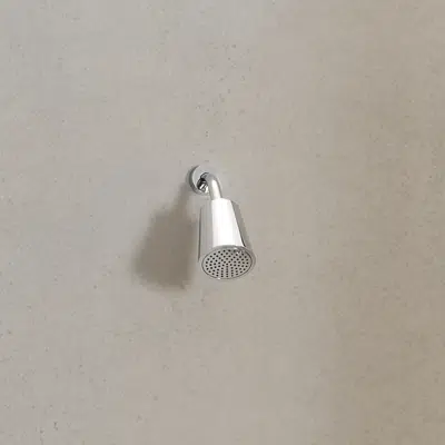 画像 28504979FF0010 Dornbracht Shower head with one flow mode 100 mm