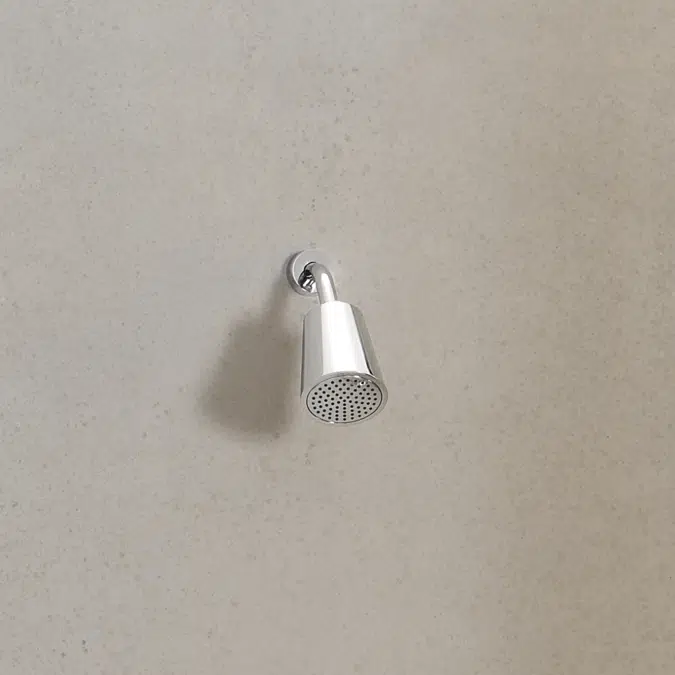 28504979FF0010 Dornbracht Shower head with one flow mode 100 mm