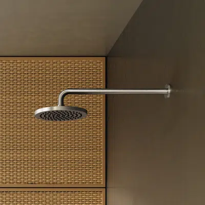 Image for 28649970FF0010 Dornbracht Rain shower with wall fixing