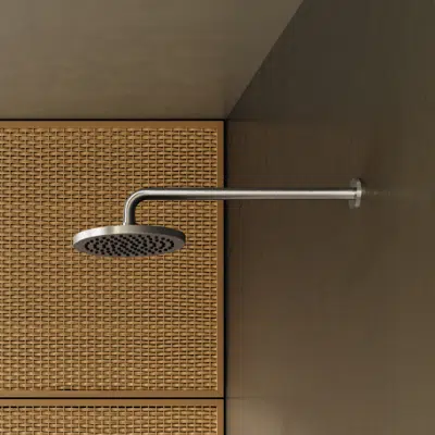 รูปภาพสำหรับ 28649970FF0010 Dornbracht Rain shower with wall fixing