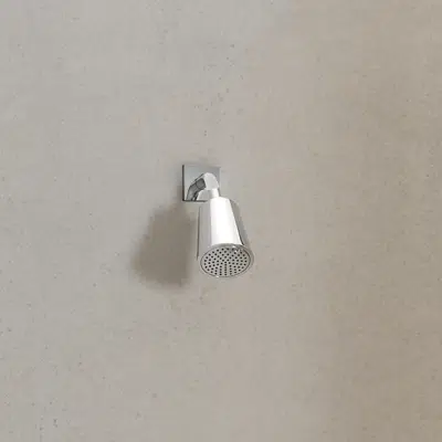 Immagine per 28504670FF0010 Dornbracht Shower head with one flow mode 100 mm
