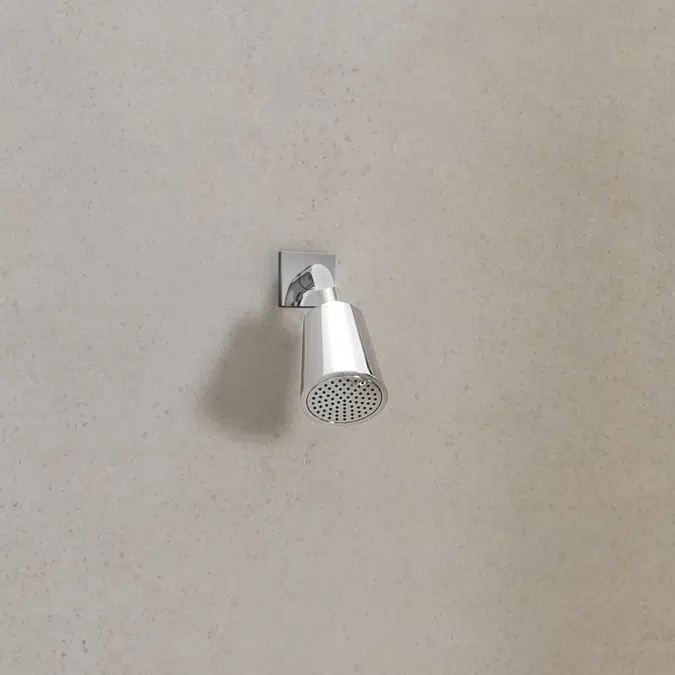 28504670FF0010 Dornbracht Shower head with one flow mode 100 mm