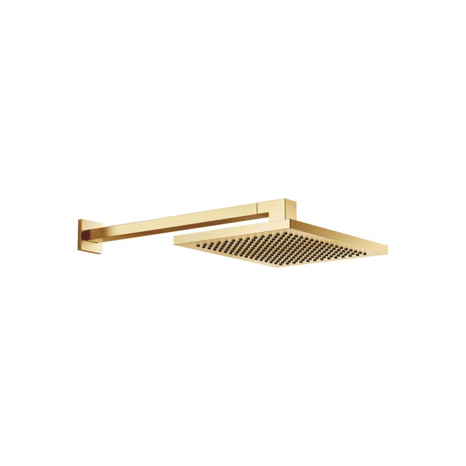 28765980FF0010 Dornbracht Rain shower with wall fixing