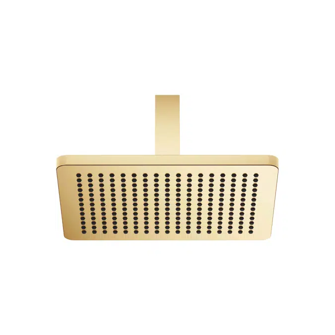 28796710FF0010 LULU Rain shower with ceiling fixing
