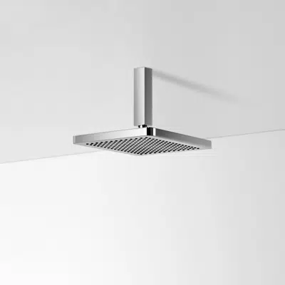 28796710FF0010 LULU Rain shower with ceiling fixing图像