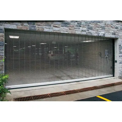 Image for EverServe™ Springless Security Grilles - 671S