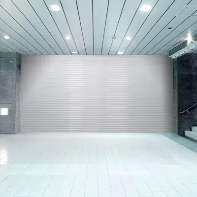 Allura® Shutter Door​​ - 653图像