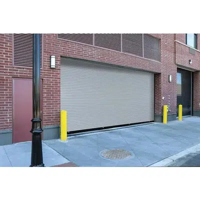 Image for EverServe™ HD Springless Service Doors - 610S