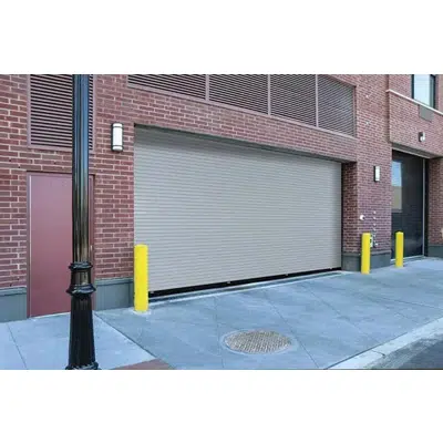 Image pour EverServe™ HD Springless Service Doors - 610S