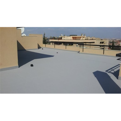 Image pour WATERPROOFING AND REPAIR SYSTEM FOR CONCRETE ROOFS