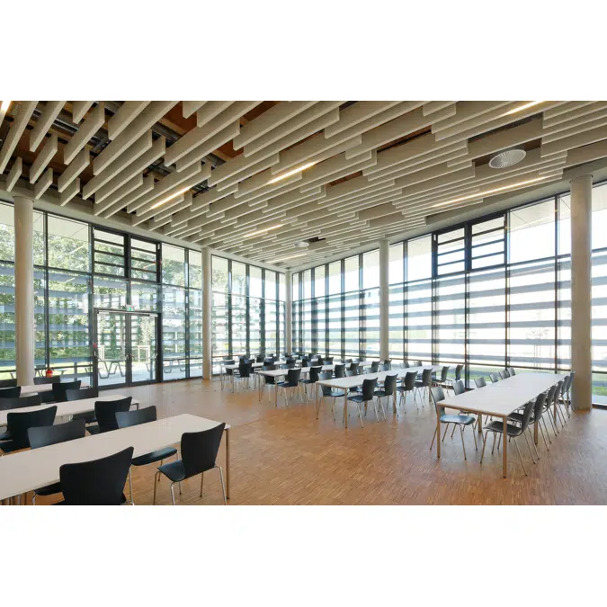 CHARACTER DESIGN CEILINGS: POLYLAM