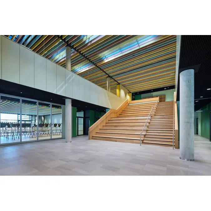 CHARACTER DESIGN CEILINGS: POLYLAM