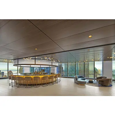 Image for CLASSIC METAL CEILING SYSTEMS
