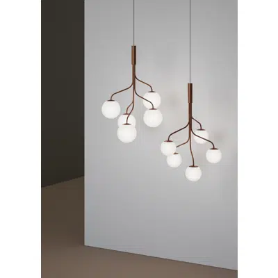 Image for Curve Cluster XL - Pedant