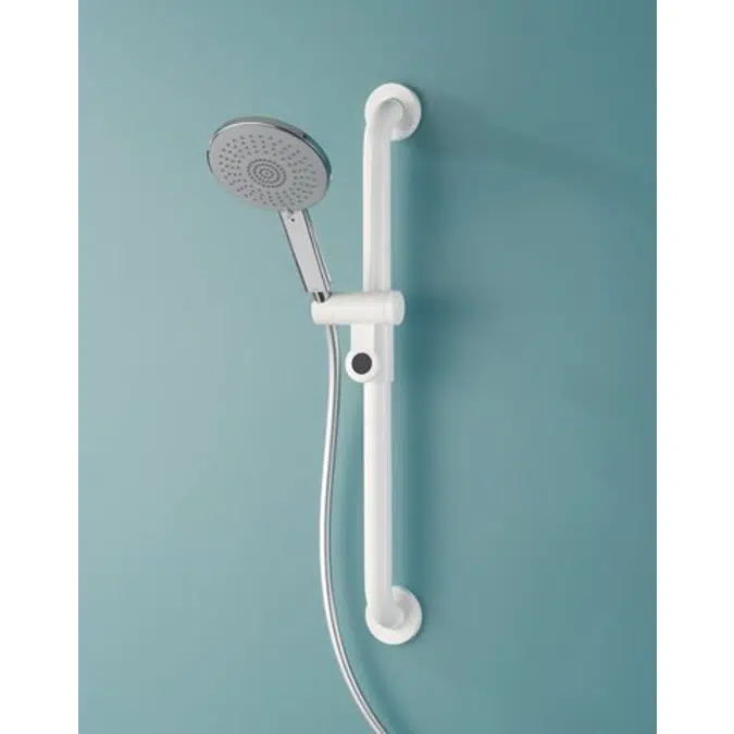 HEWI 801-33US100 Grab bar with shower head holder (ADA)