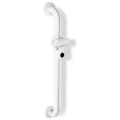 obraz dla HEWI Grab bar with shower head holder (ADA)