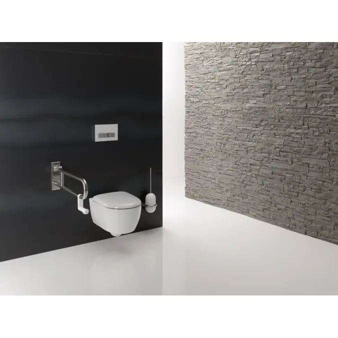 Hinged support rail, Wall mounting plate with stainless steel cover, 700 mm projection, 805-50-210