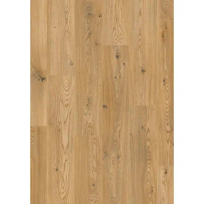 LAMINATE FLOORING DISFLOOR TOP 8MM AC4 NATURE/ AC5 NATURE PROF/ AC5 AQUA NATURE 35879