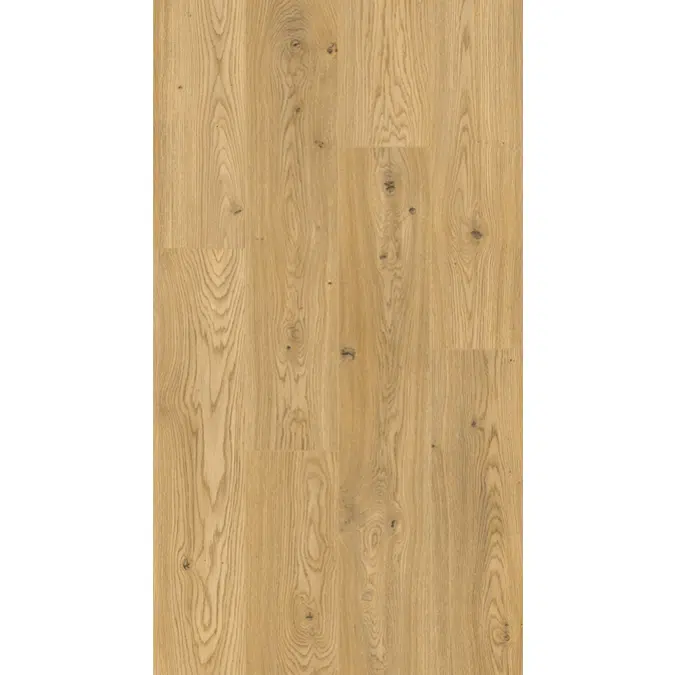 BIM objects - Free download! LAMINATE FLOORING DISFLOOR TOP 8MM AC4 ...