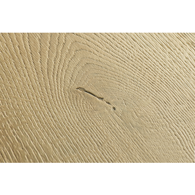Image for LAMINATED FLOORING QUICK STEP Capture SIG4763