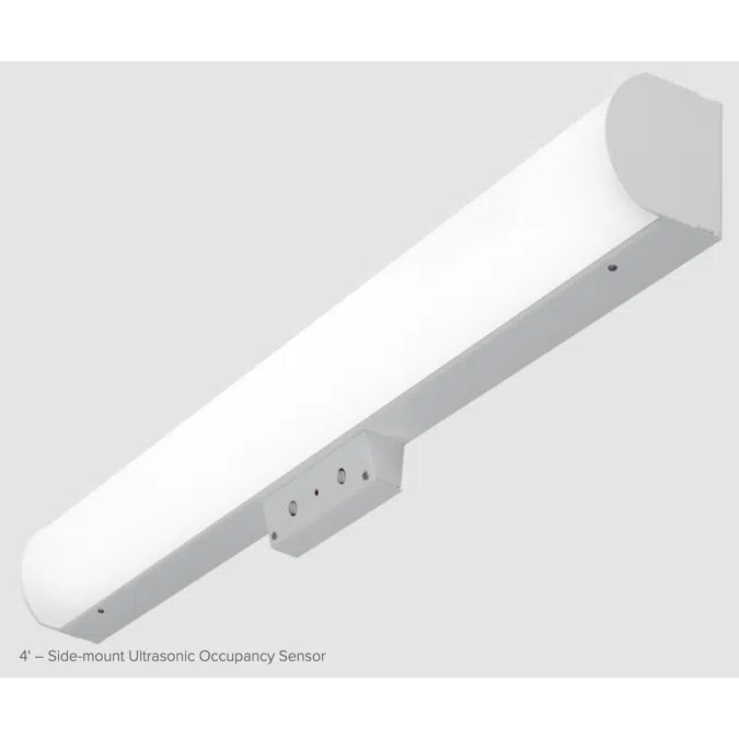 SLF SURFACE OR WALL MOUNT LIGHT