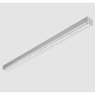 Imagem para 75 NARROW STRIP}