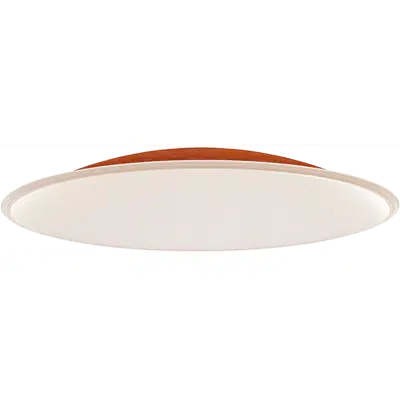 Imagem para Ceiling Dome - CD89x16, 89-1/4” wide x 15-11/16” deep}