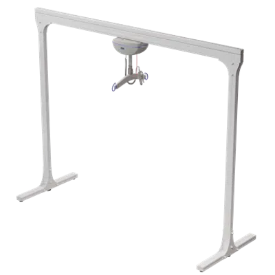 изображение для Semi-Permanent 2 Post track system with ceiling lift