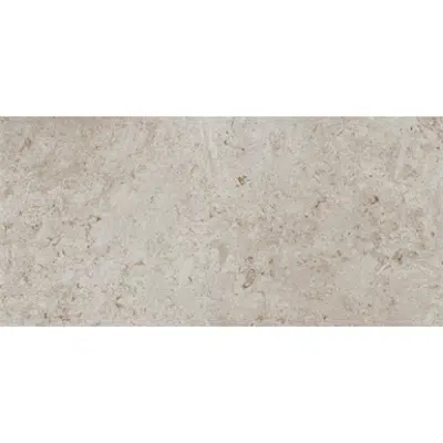 Image pour COLOSSEO PIETRA DI GERUSALEMME 45x90x2 - sintered stone tiles