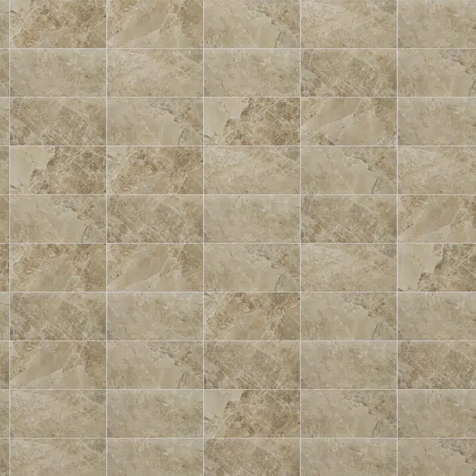 Pared macchia 300x600