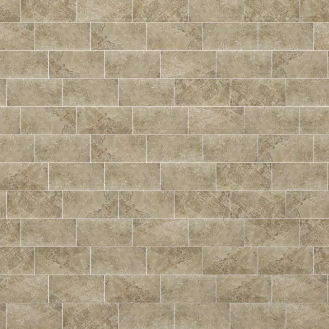 Pared macchia 300x600