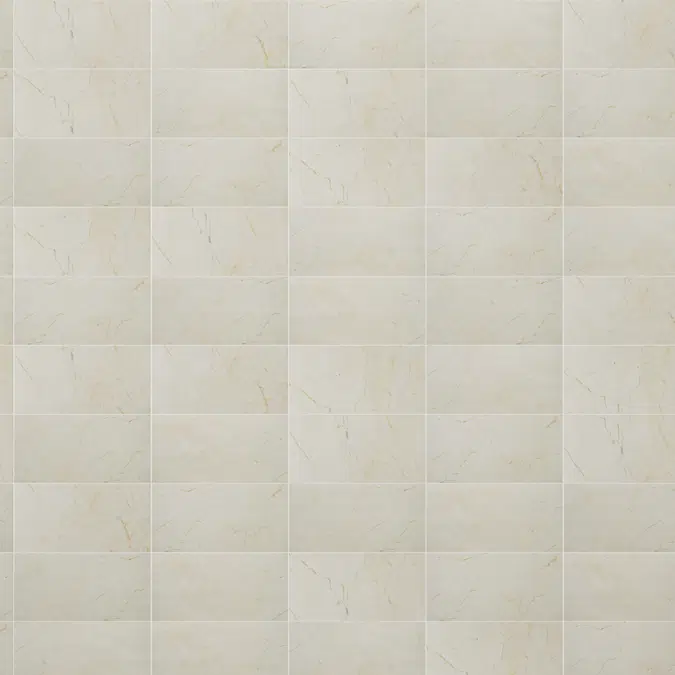 Pared barina 300x600