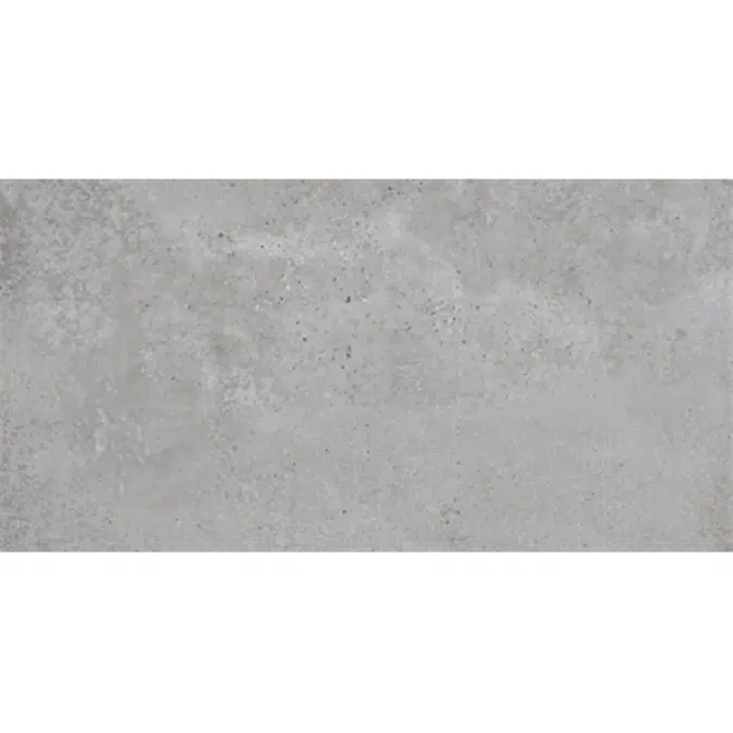 Ceramic tile tiza grey 305x600 mm