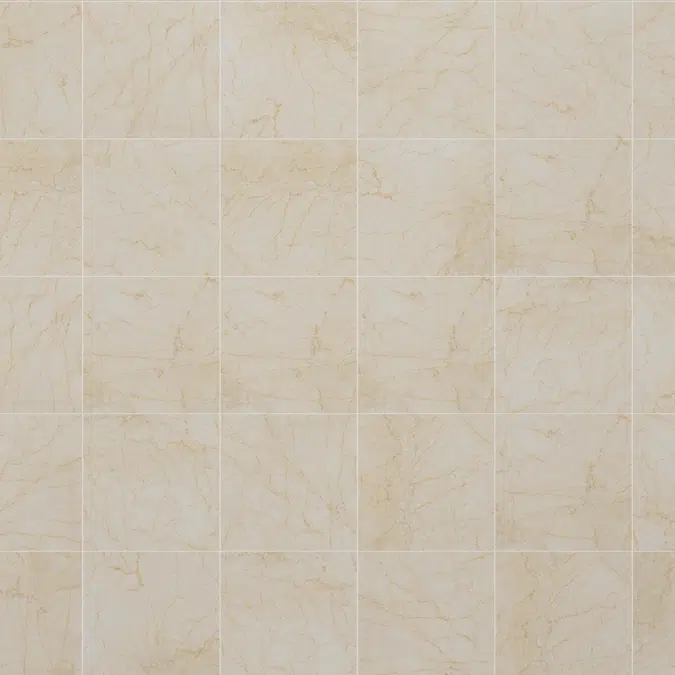 Cerámica royal 610x610