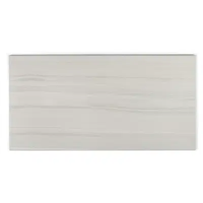Immagine per Ceramic tile Emilia grey 305x600 mm