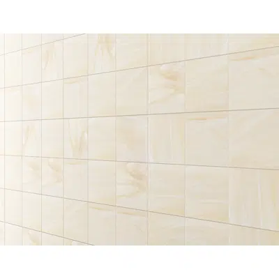 Image for Ceramica rocca 300 x 300mm