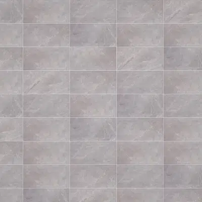 Image pour Ceramica Lory Light grey 300 x 600 mm