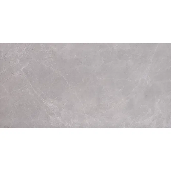 Ceramica Lory Light grey 300 x 600 mm