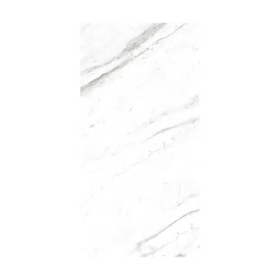 Зображення для Porcelanato porceflex statuario blanco BR 600 X 1200 mm