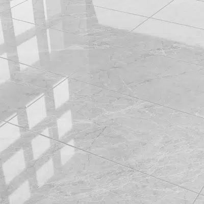 Image for Porcelanato spiderweb blanco 60x120 cm