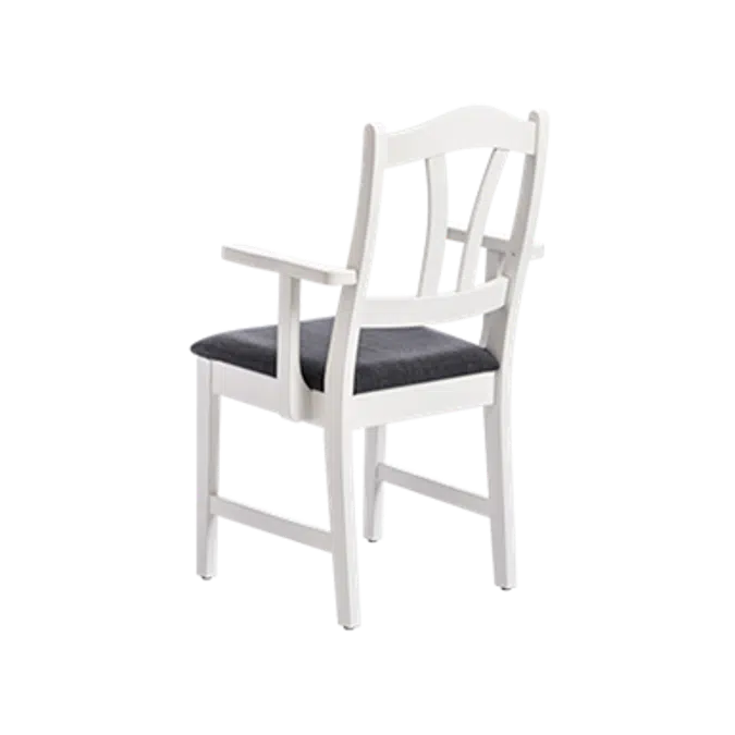 Erik 463
