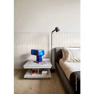 Image pour TERRAMATER