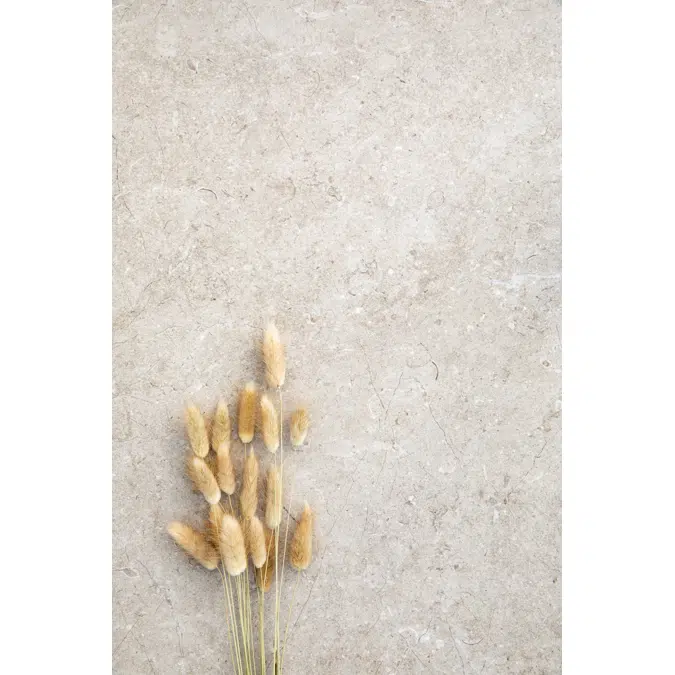 MYSTONE LIMESTONE20 carreaux en grès cérame