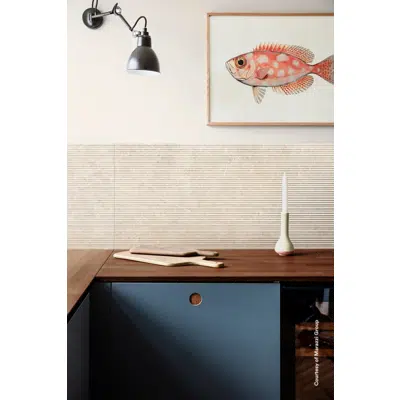 Image pour LIMESTONE WALL