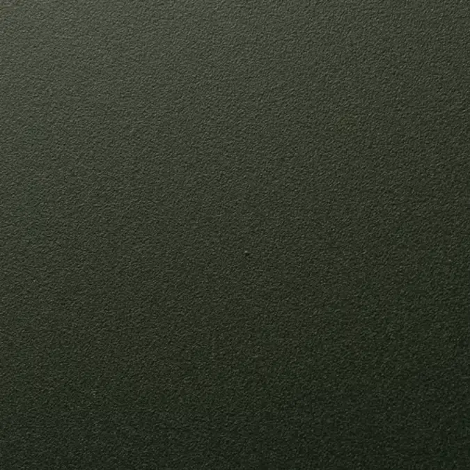 Fine Textured  | RAL 6009 | AE03056600920