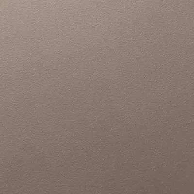 Fine Textured  | RAL 9007 | AE03257900720图像