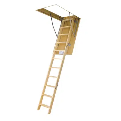 UPDATED Loft ladder LWS Plus | FAKRO图像