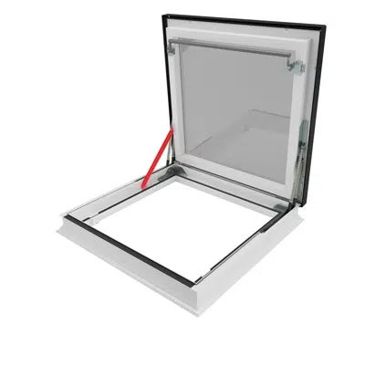 Image for USA Flat access roof light DRF DU6 | FAKRO