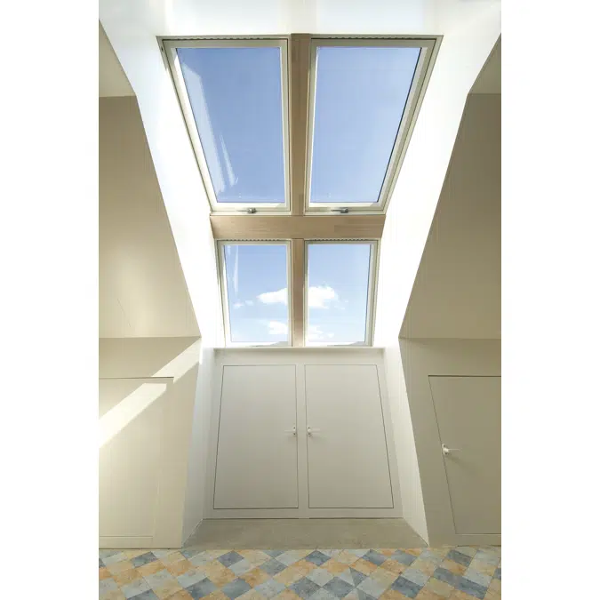 Dormer EDD-W + Centre pivot window FTP-V U3 | FAKRO