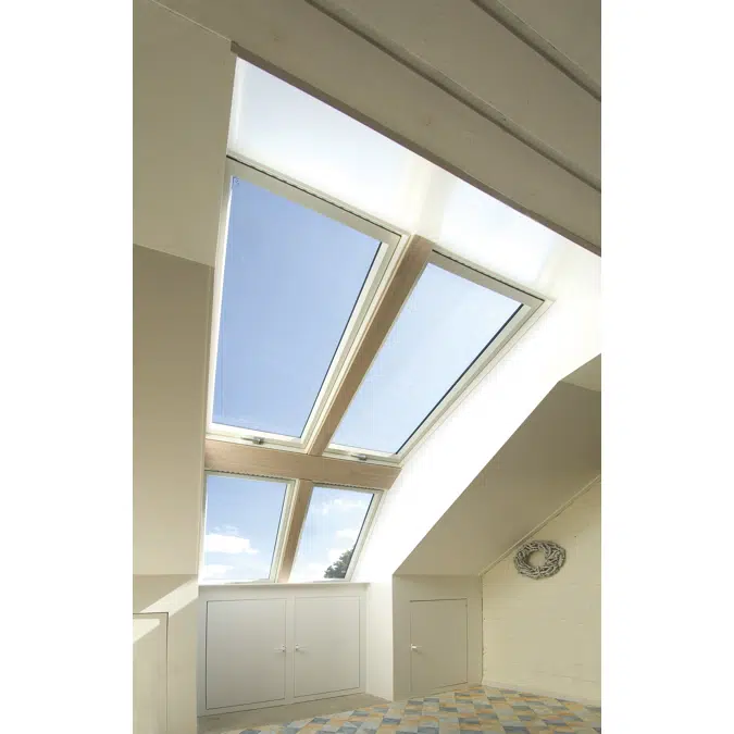 Dormer EDD-W + Centre pivot window FTP-V U3 | FAKRO